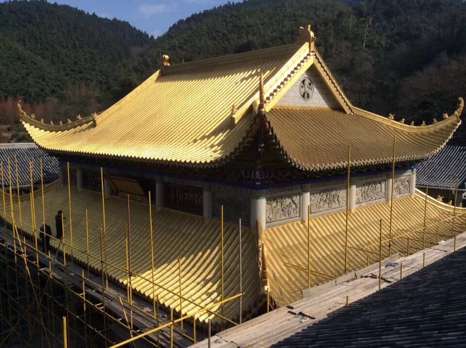 1637809201528006.jpg 1637809201528006.jpg